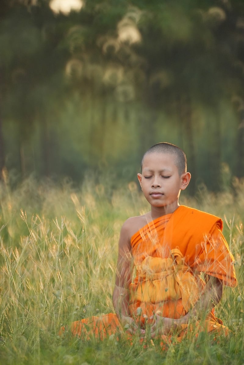 Mindful Meditation Practice